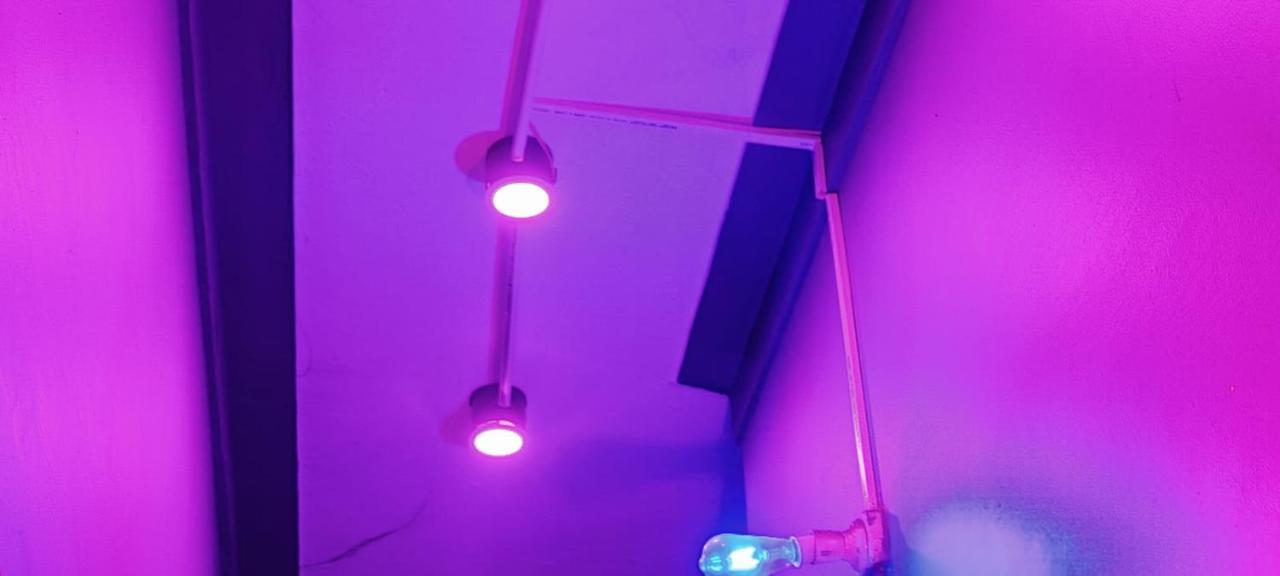 Startup House Dehradun